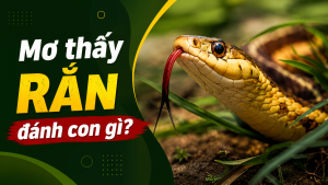 mo thay ran danh con gi 3