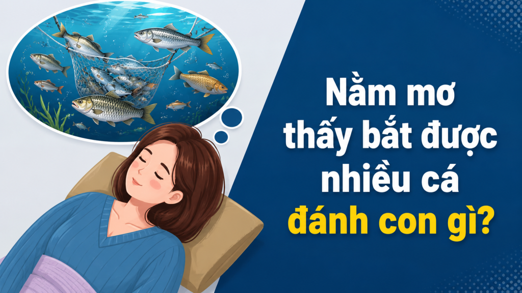 nam mo thay bat duoc nhieu ca danh con gi 3
