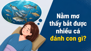 nam mo thay bat duoc nhieu ca danh con gi 3