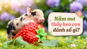 nam mo thay heo con danh so gi 3