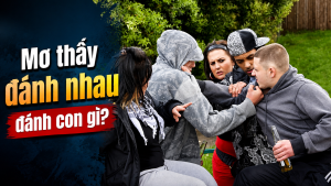 mo thay danh nhau danh con gi