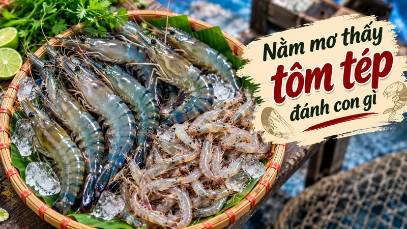 nam mo thay tom tep danh con gi